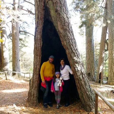 Hotel Diffuso Ecobelmonte