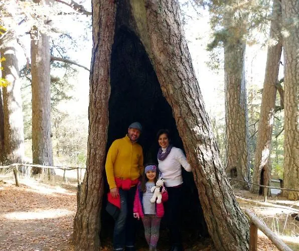 Отель Diffuso Ecobelmonte